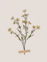 Dried Flower Card